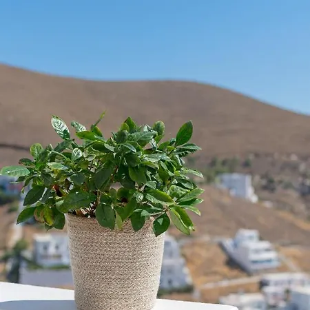 The Panorama House *