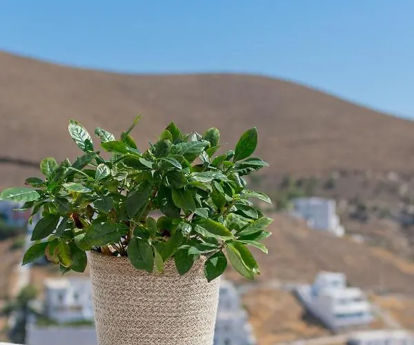 The Panorama House *